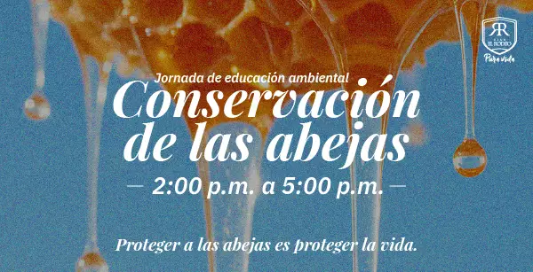 Imagen Entretenimiento