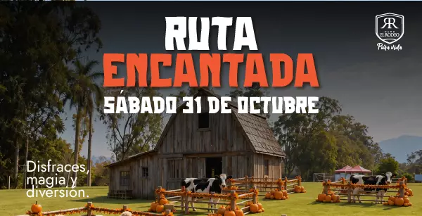 Imagen Entretenimiento