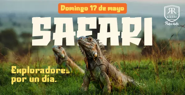 Imagen Entretenimiento