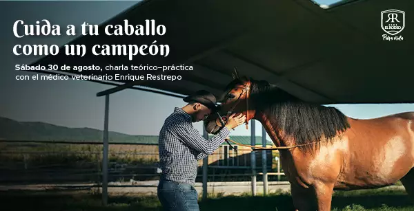 Imagen Entretenimiento